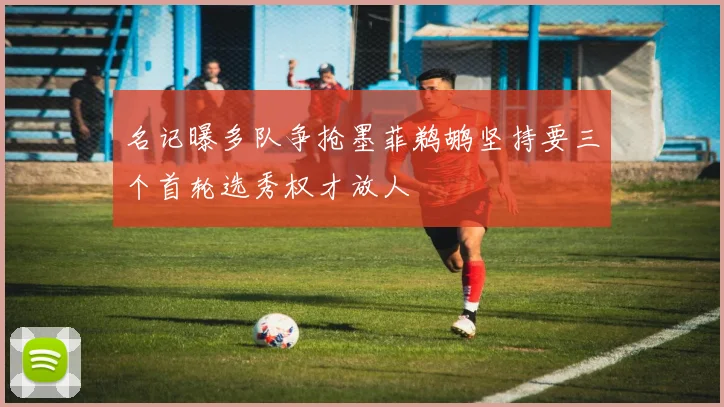名记曝多队争抢墨菲鹈鹕坚持要三个首轮选秀权才放人